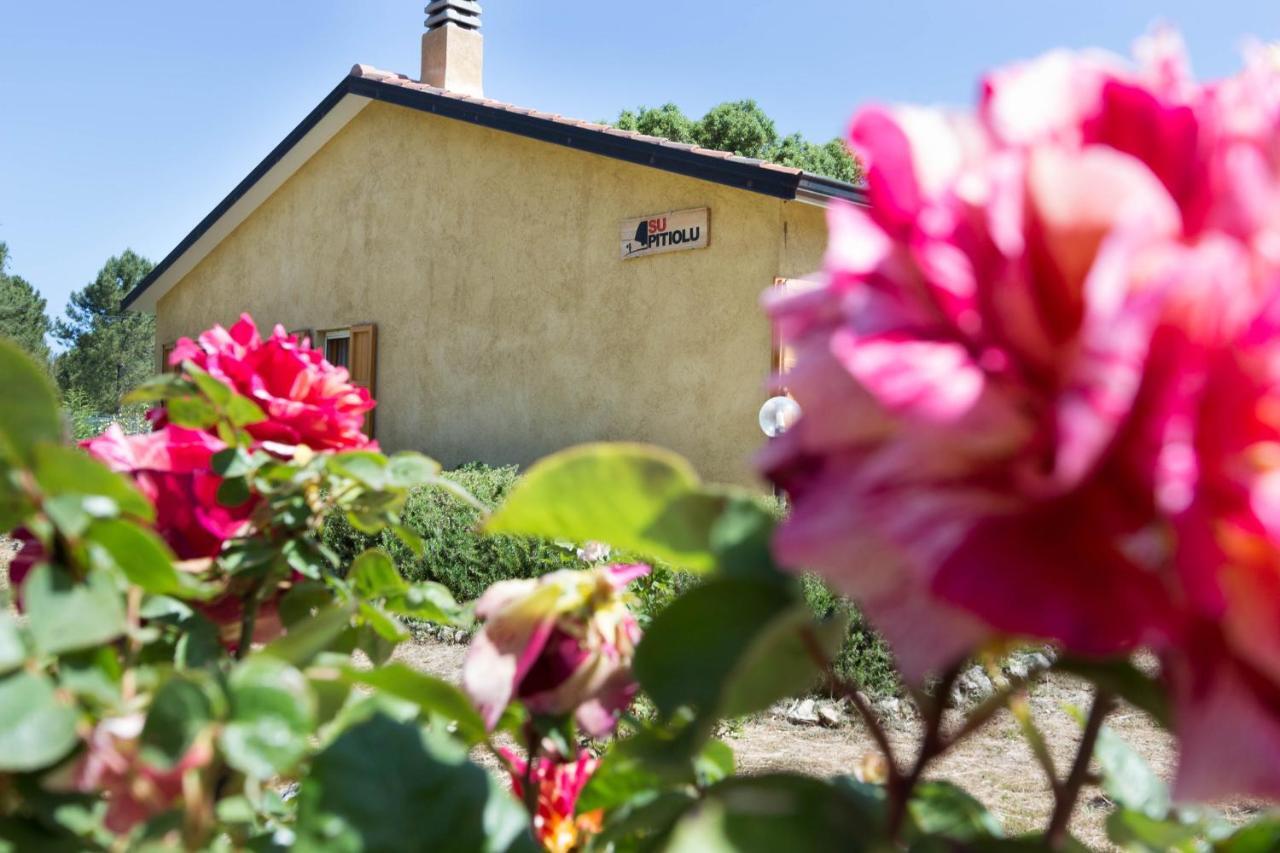 Su Pitiolu - Casa Vacanze Làconi Exteriör bild